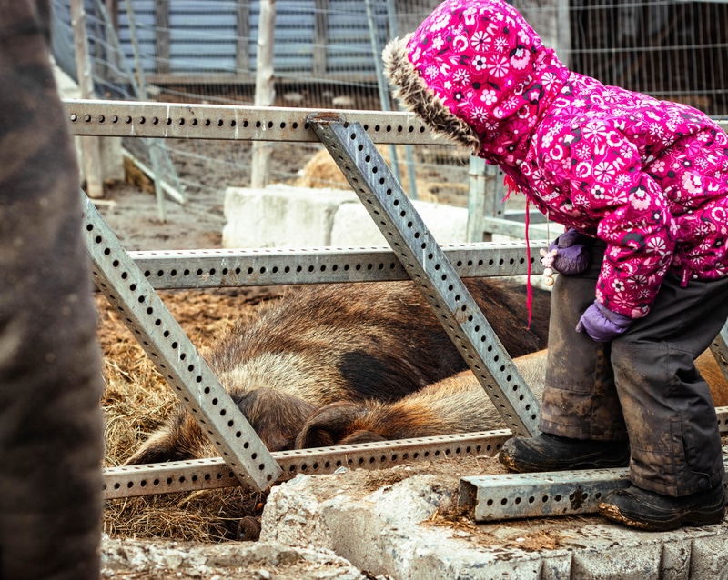 Spécial pour la relâche scolaire à la Ferme des Petits Torrieux