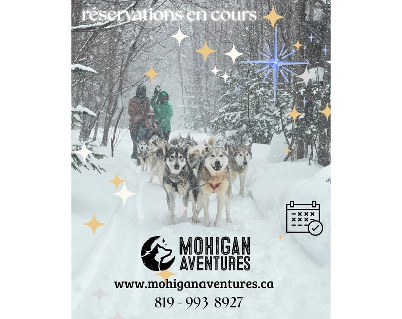 Mohigan Aventures