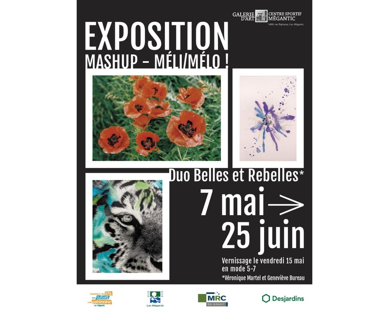 Exposition "Mashup - Méli/Mélo" - Centre Sportif Mégantic