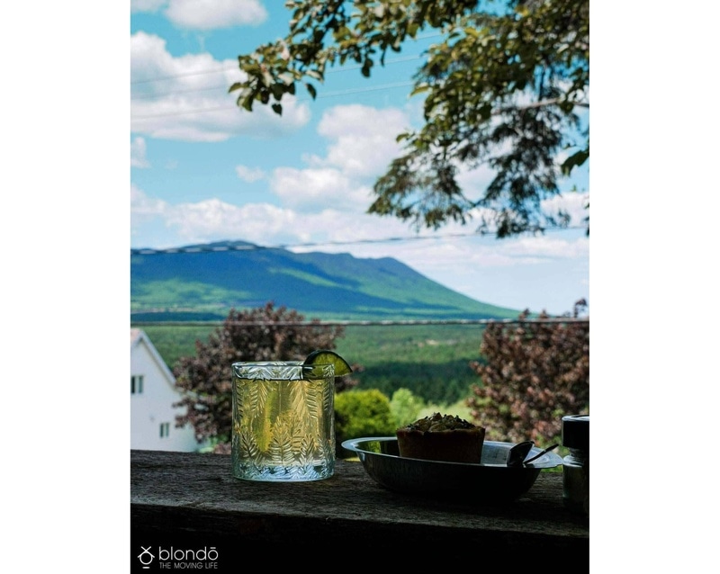 Bar à tisane - Herboristerie Apoteka 19 juillet