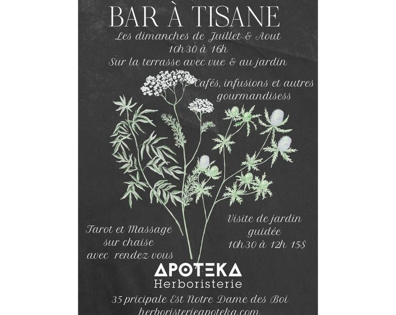 Bar à tisane - Herboristerie Apoteka 19 juillet
