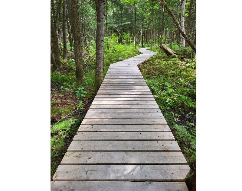 Piopolis' hiking paths