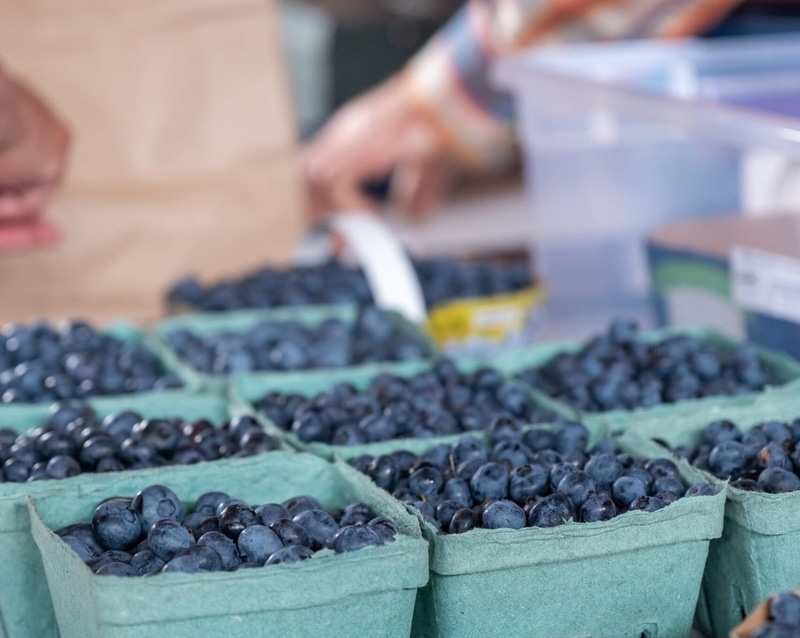 Marché public de La Patrie
