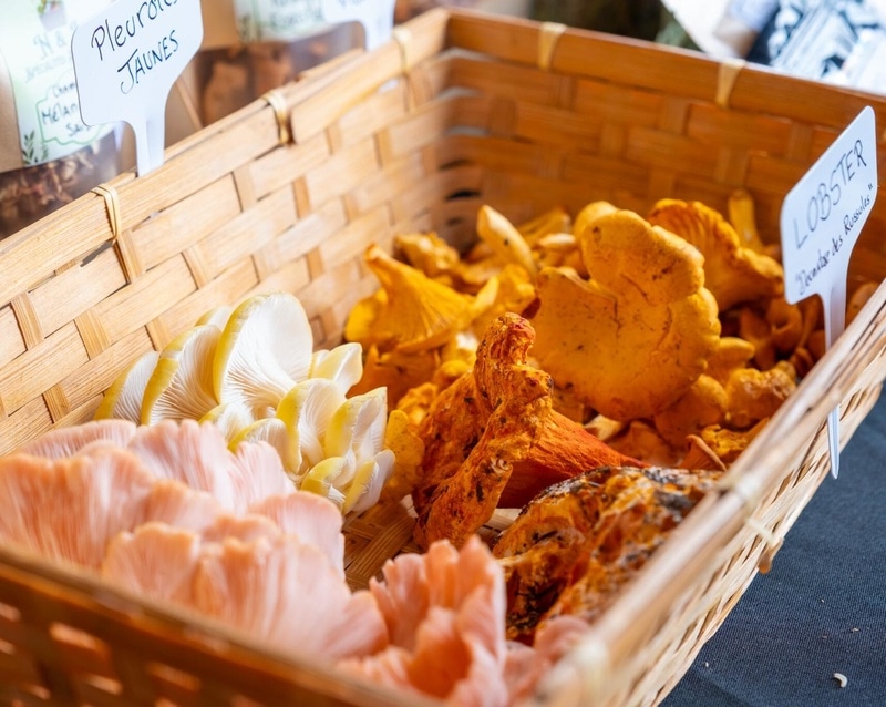 Marché public de La Patrie