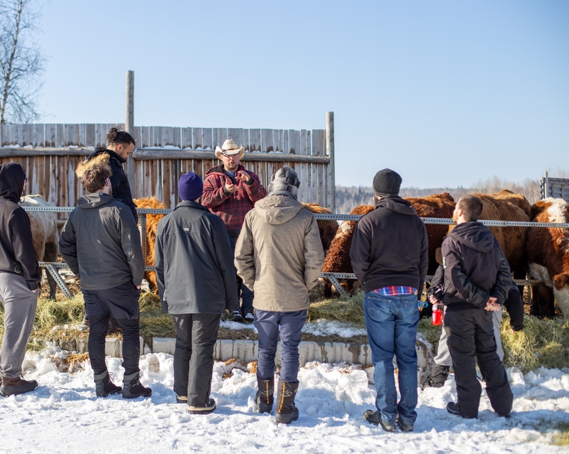 Petits Torrieux Farm