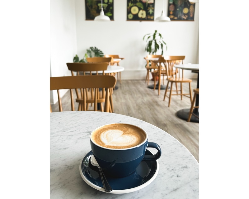 Ditchfield Microtorréfacteur - Café