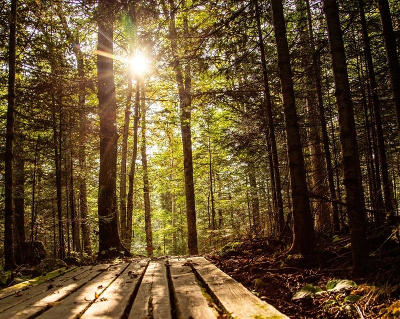 Hébergement aux cinq sens camping
